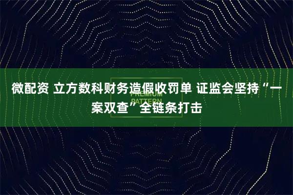 微配资 立方数科财务造假收罚单 证监会坚持“一案双查”全链条打击