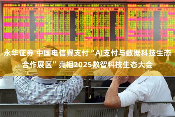 永华证券 中国电信翼支付“AI支付与数据科技生态合作展区”亮相2025数智科技生态大会